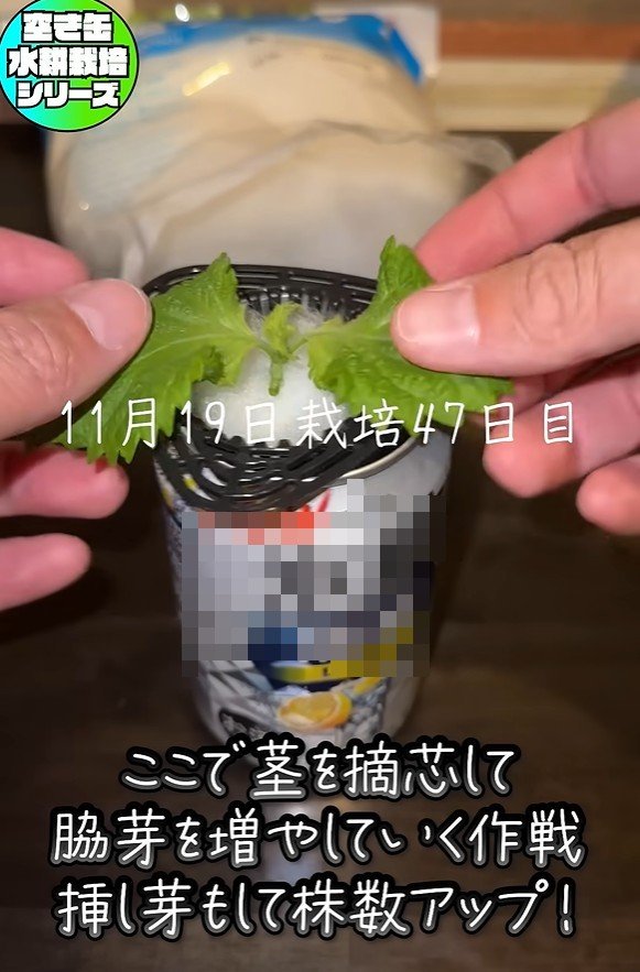 出所：@mikanbo-ya1987