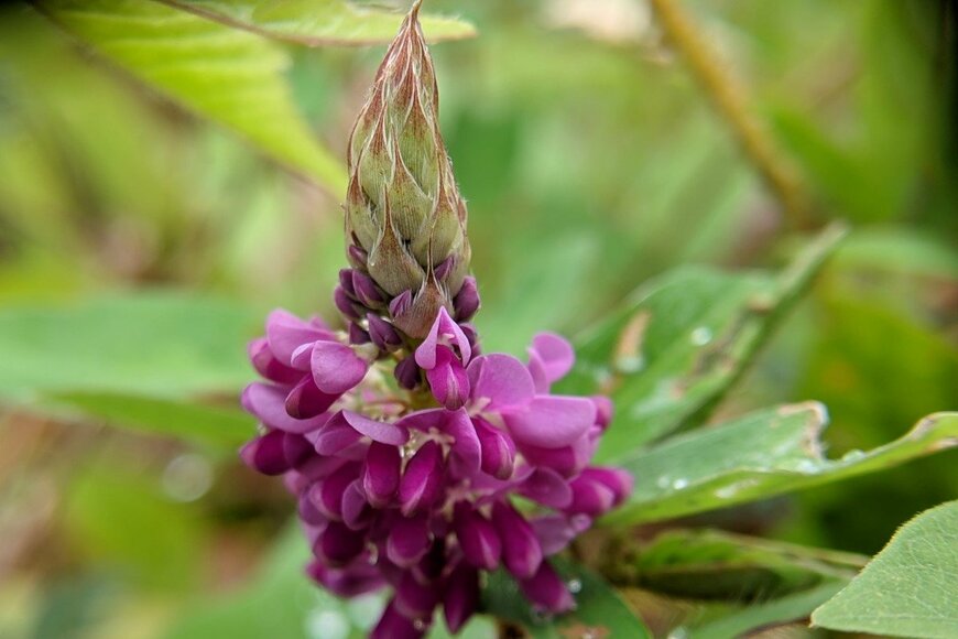 dhwan/shutterstock.com