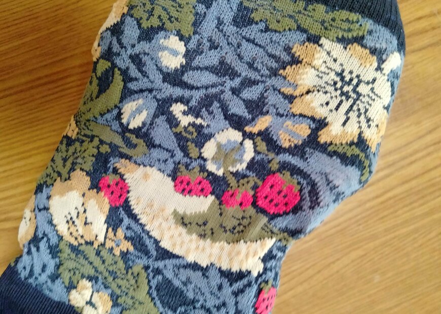 筆者撮影（セリア、婦人ショートクルー丈 いちご泥棒柄 WM）