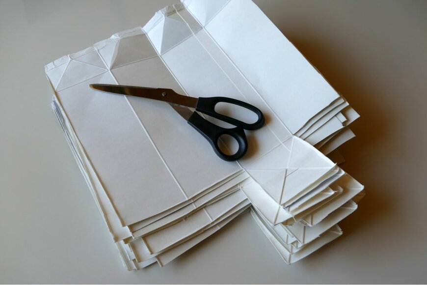 Akira Shimizu/shutterstock.com