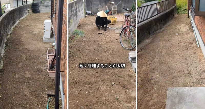 投稿の画像