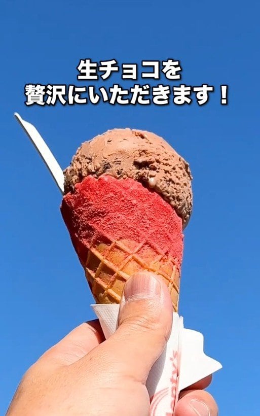 道の駅限定の生チョコ