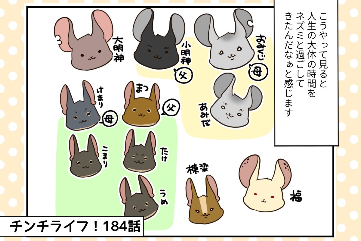 チンチライフ第184話】愛がこもっているからこそ間違えたくない