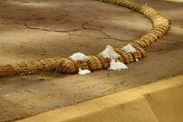 大相撲で撮影された1枚に思わず目を疑う　必殺技を繰り出しているように見える「力士」が話題に