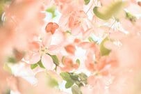 毎年、誕生月に届きます！【ねんきん定期便】どこを・どう見ればいいの？「チェックしておきたい11項目」を解説！