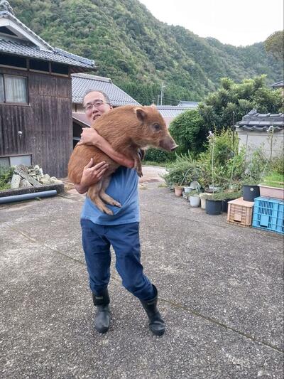 約1年前の姿