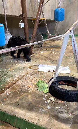 旭川市旭山動物園