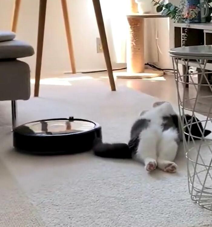 ルンバが横を通過する瞬間、器用に身体をひょい