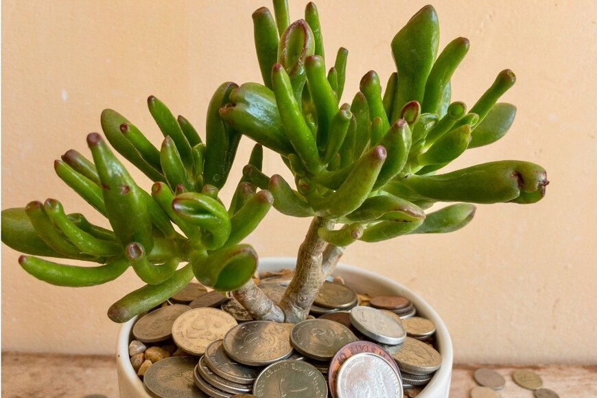 Bilal photos/istockphoto.com