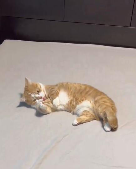 出所：@kotaro_0315