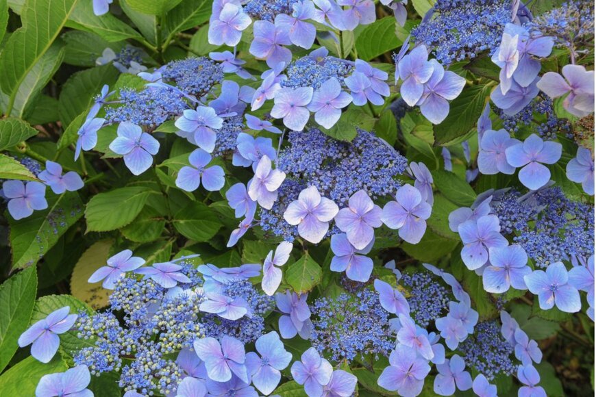 Peter Turner Photography/shutterstock.com