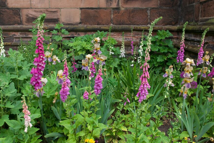 Jananz/shutterstock.com