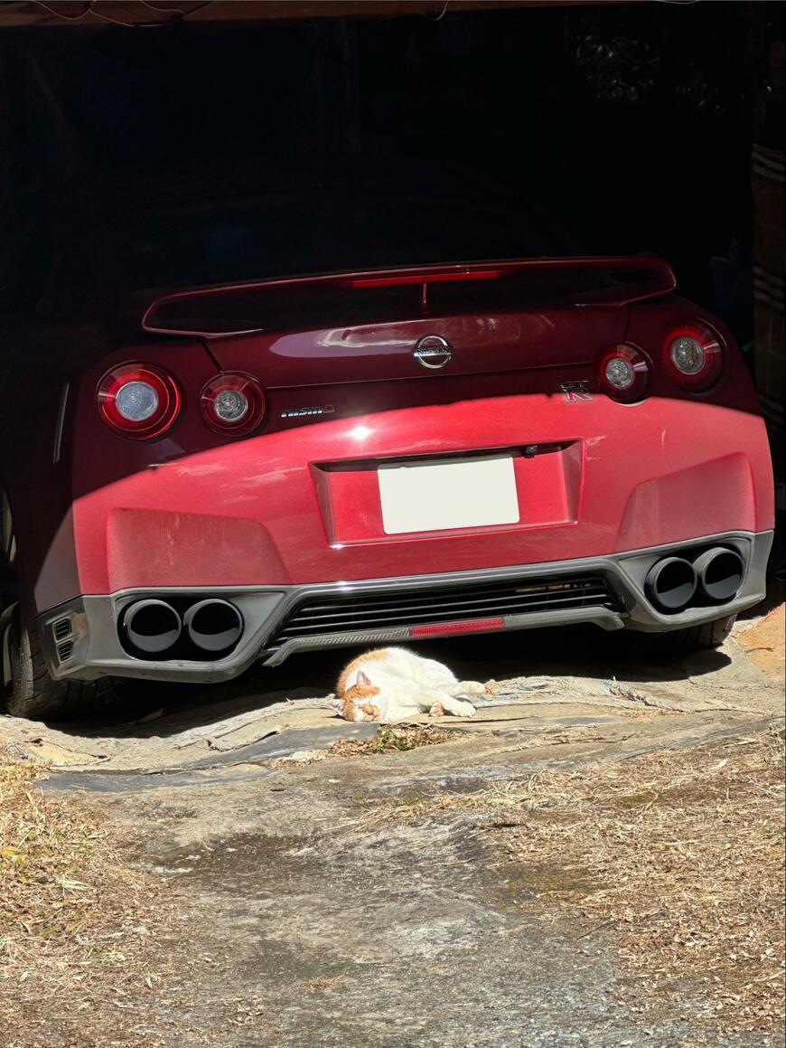 出所：@tanappiirx