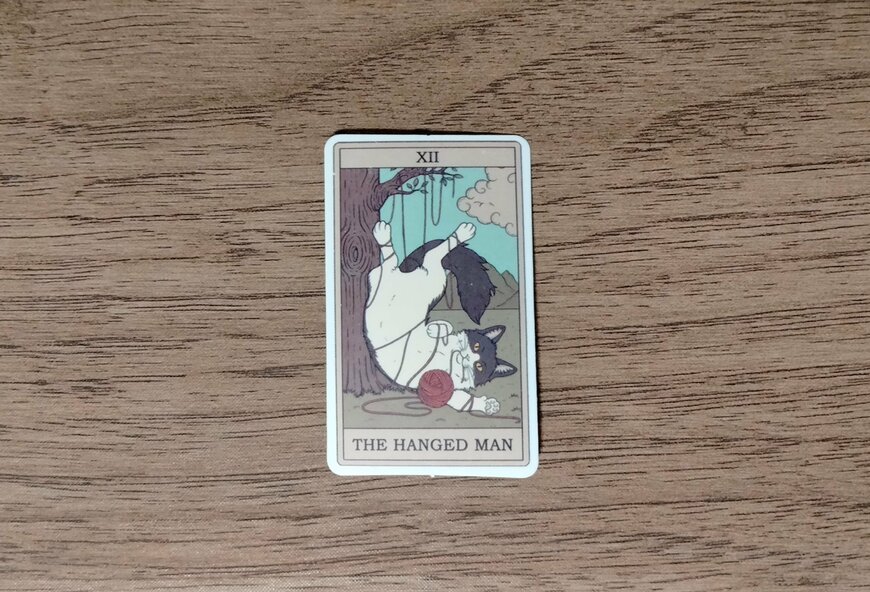 筆者撮影（SHEIN、78ピース 猫柄 アソートステッカー ビンテージ 多目的ステッカー DIYクラフト デコレーション ハンドアカウント用）