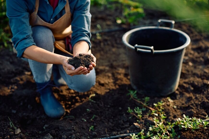 Drazen Zigic/shutterstock.com
