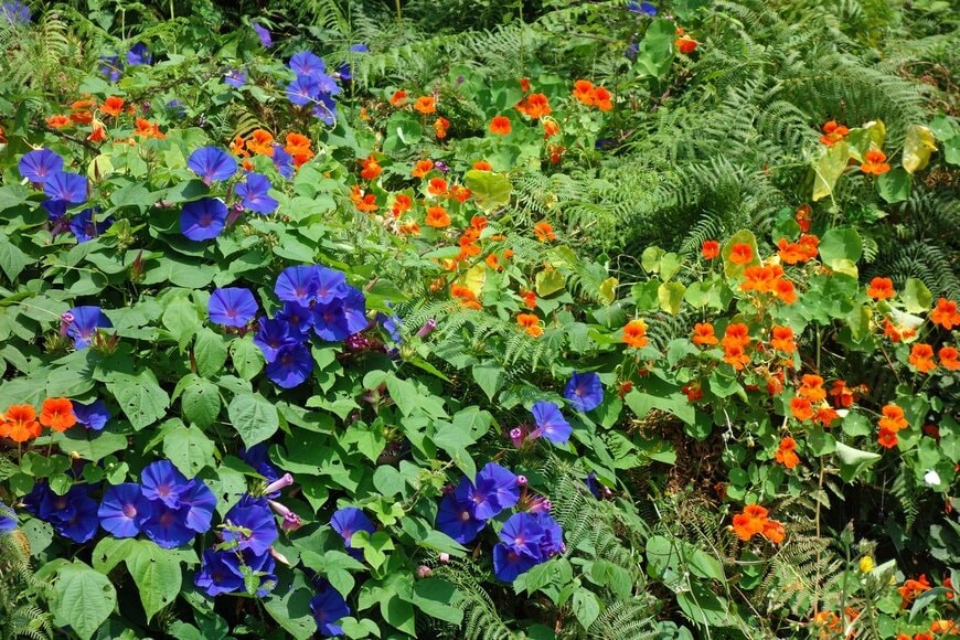 shutternelke/Shutterstock.com