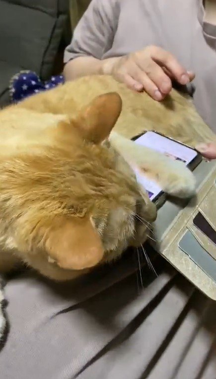 出所：@luna7taka9