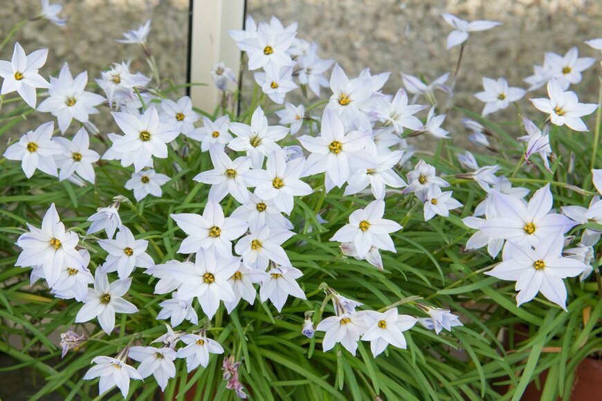 Peter Turner Photography/shutterstock.com