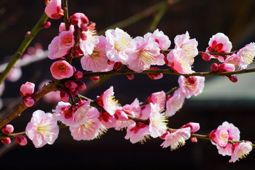 EQRoy/shutterstock.com