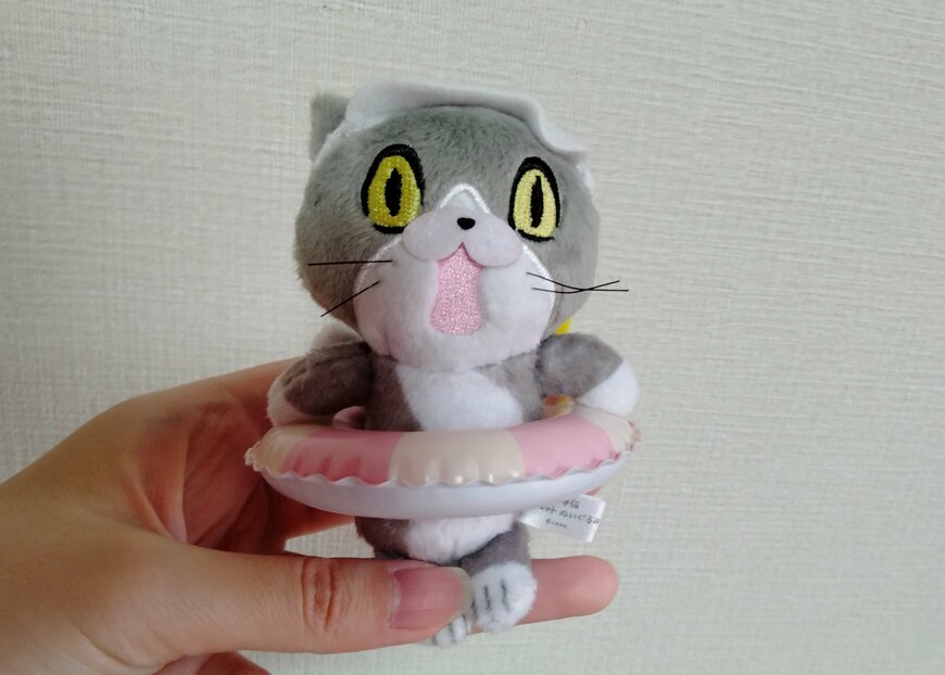 画像出所：筆者撮影（セリア、ミニ浮き輪 TK-2071）