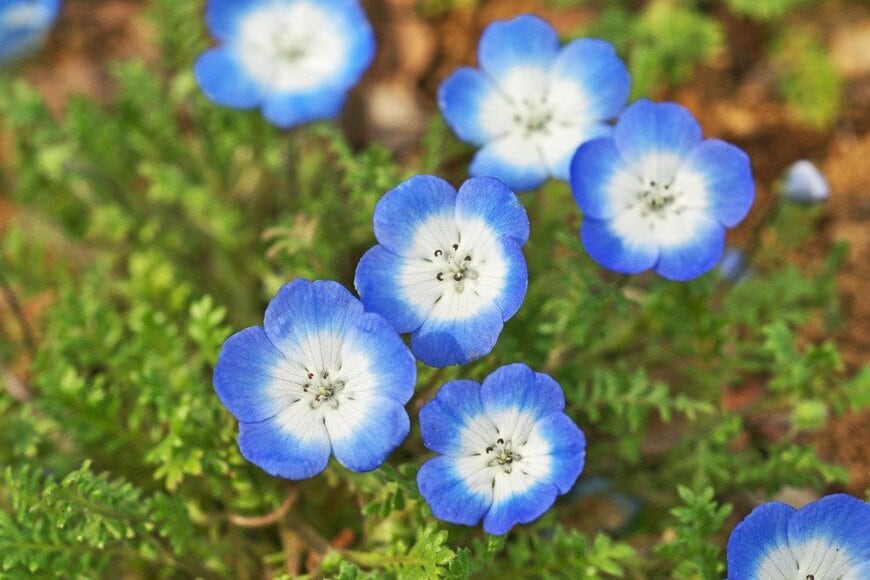 igaguri_1/istockphoto.com