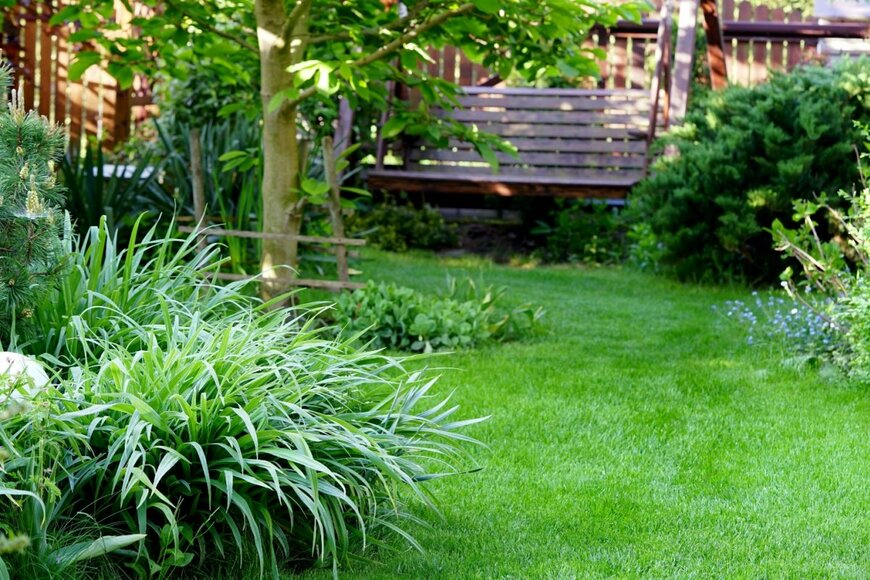 aRTI01/shutterstock.com