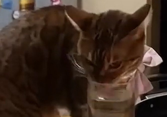 出所：@Beercat_Ana_Dar