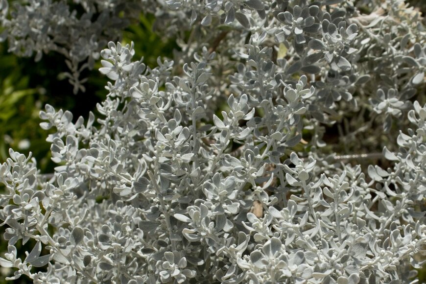 alybaba/shutterstock.com