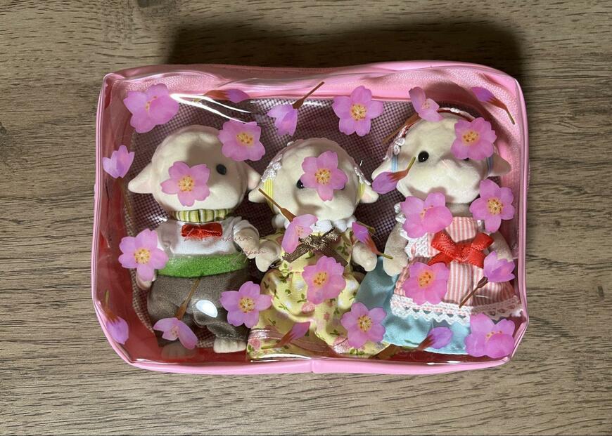 筆者撮影（キャンドゥ、スクエアポーチ桜 MA-1787）