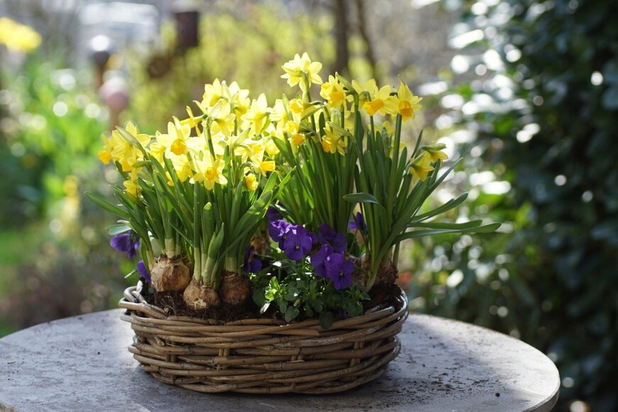 TG23/istockphoto.com