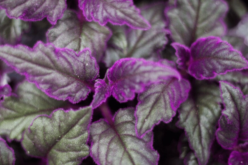 Marc Roura/istockphoto.com