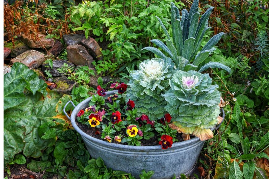 MaCross-Photography/shutterstock.com