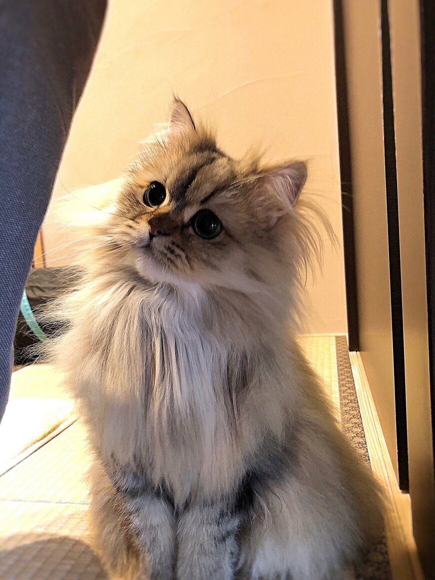 出所：@UphQepCv8J