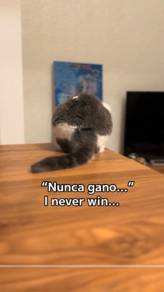 出所：＠mocchinokimochi