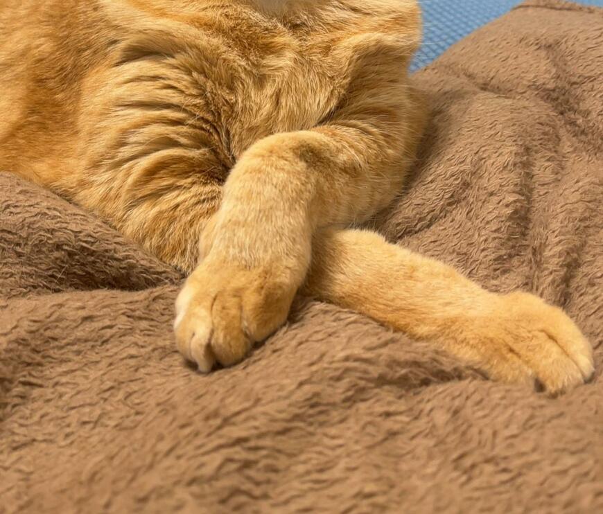 出所：@kagisuzu0531