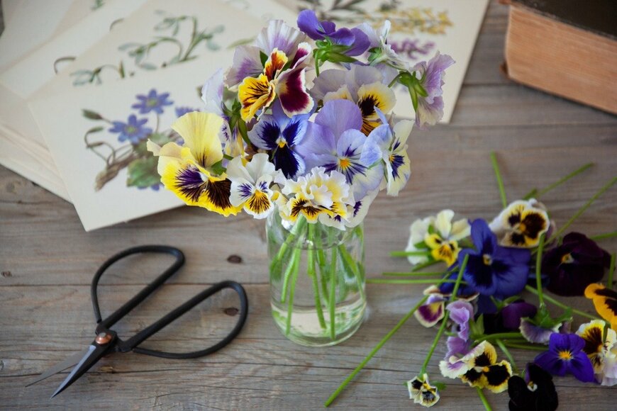 artursfoto/istockphoto.com