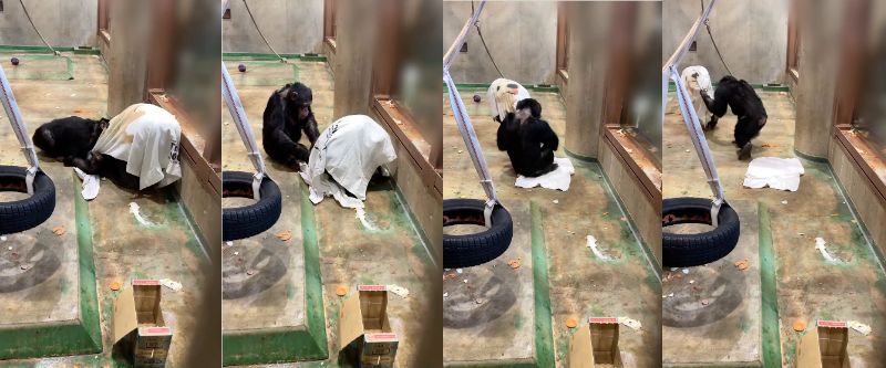 旭川市旭山動物園