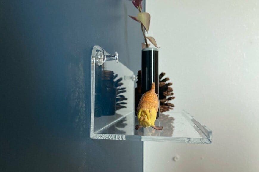 セリア アクリル ウォールラック 20cm