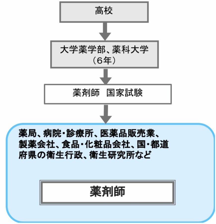薬剤師として就業するには？【フロー図】