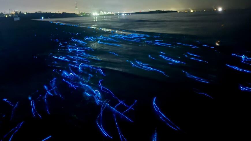 富山県で撮影された幻想的な光景
