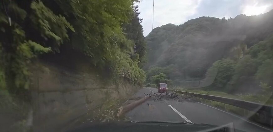 投稿の画像