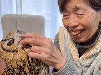 【フクロウとばあちゃん】「今日も1日ご苦労さん」82歳ばあちゃんとおしゃべりするフクロウが幸せ過ぎてほっこり