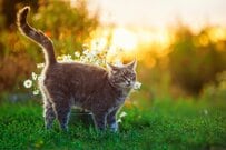 還暦シニアの60代「みんなの貯金はいくらか」