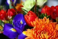 【知らないと損】シニアが申請すればもらえるお金5選！給付金・補助金の対象者や金額を解説！要件を満たしているかチェック