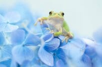 6月から改定後の年金が振込開始！年金から天引きされている「お金」は何がある？