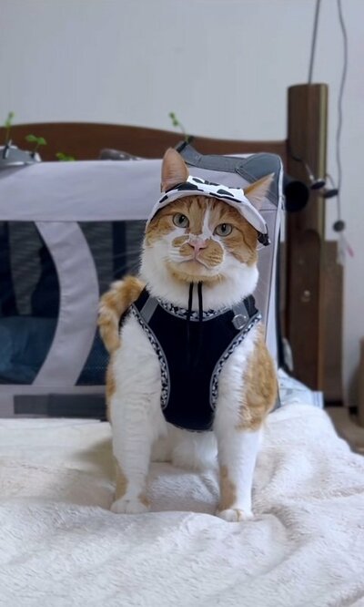 帽子がよく似合います