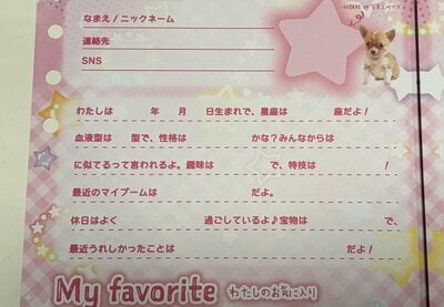 セリア、A5カスタムノートリフィルプロフィール帳 18P Lovely Little Club商品画像