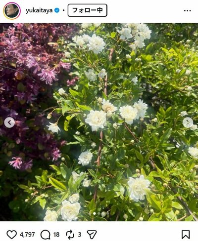 板谷由夏のInstagram投稿