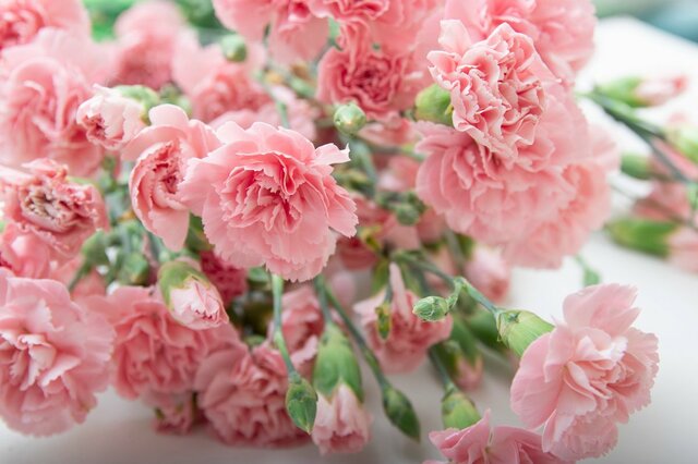 【母の日プレゼント】カーネーションだけじゃない！オススメの花10選、花束やアレンジメントもステキ