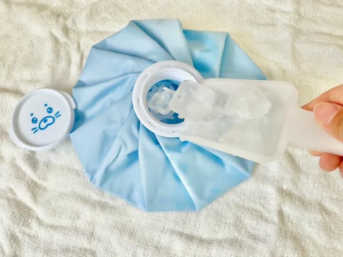 キャンドゥ　アイスバッグ　アザラシ